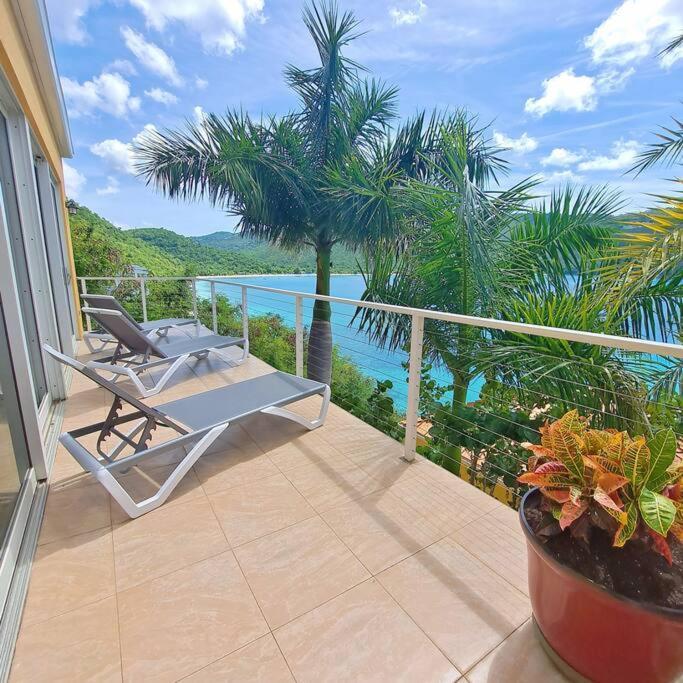 Sailfish Villa Luxury Beachfront Estate Magens Bay Cruz Bay Exteriör bild