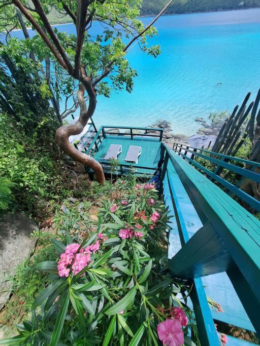 Sailfish Villa Luxury Beachfront Estate Magens Bay Cruz Bay Exteriör bild